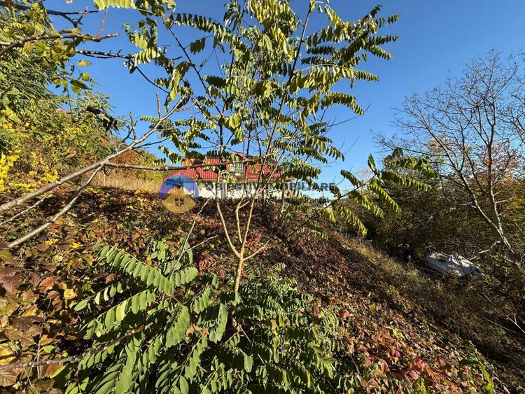 Teren intravilan 1543 mp – zona Darmanesti - 7