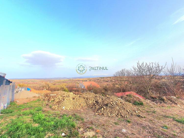 Descoperă Daia: Teren Intravilan 1000mp cu Vedere Superbă - 2