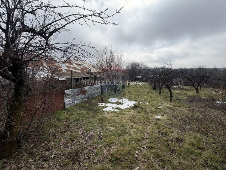 Casă cu 4 camere si teren 7727 mp Blidari - 23