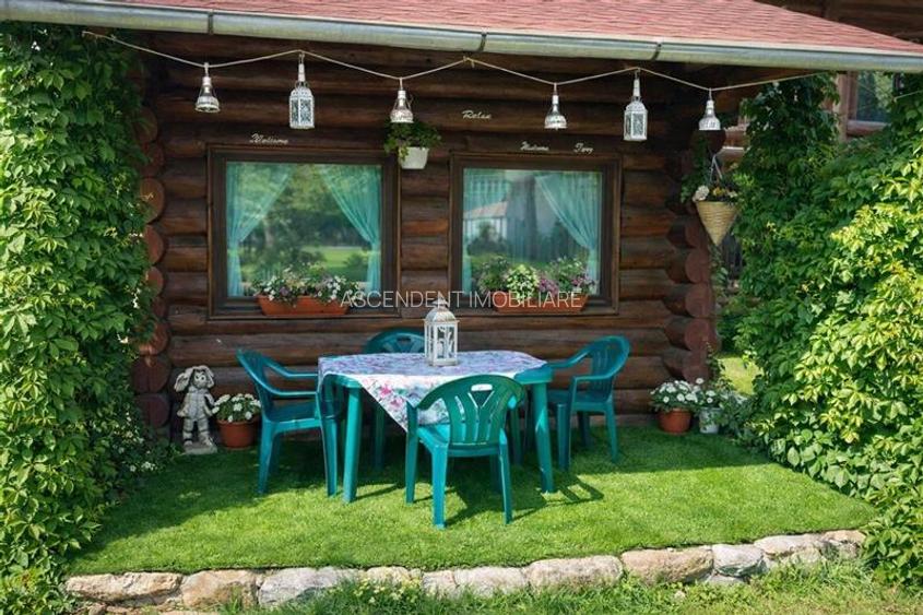 Resedinte montane,mobilate,echipate, jacuzzi,piscina,pretios areal,Sambata de Su - 5