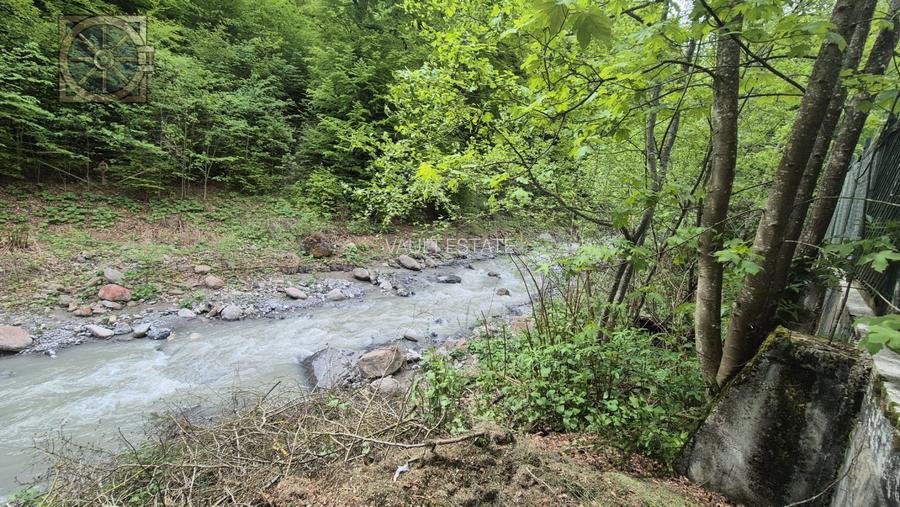 Vila - SINAIA - 4000MP TEREN - Langa Izvorul Dorului - 19