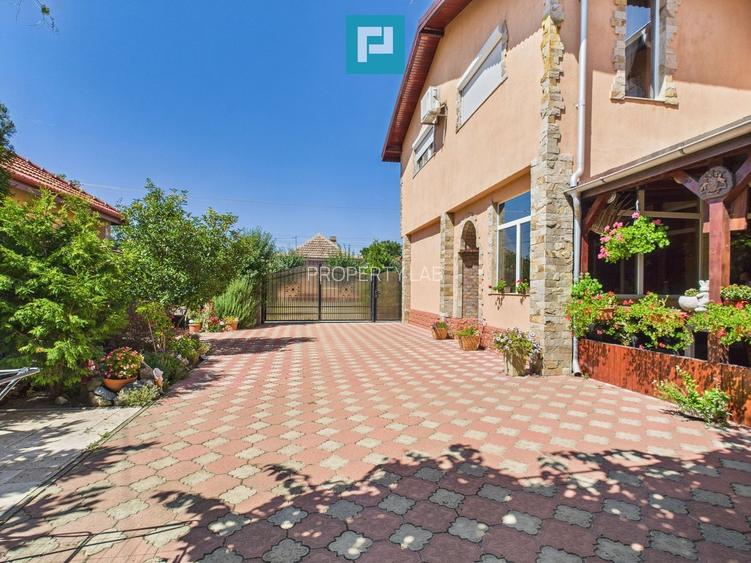 Pensiune la Orțișoara - 44