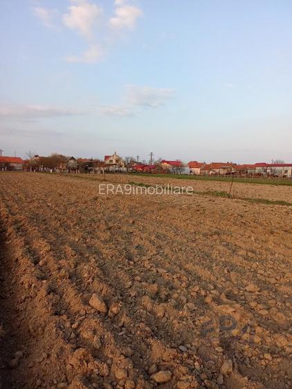 Teren Alparea , Str. Principala - 2