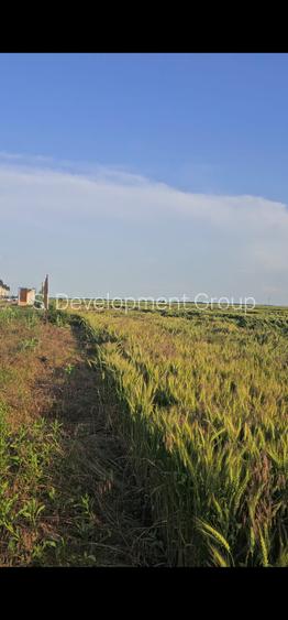 Teren intravilan Popesti | Proximitate A0 | Ideal dezvoltare imobiliara - 6