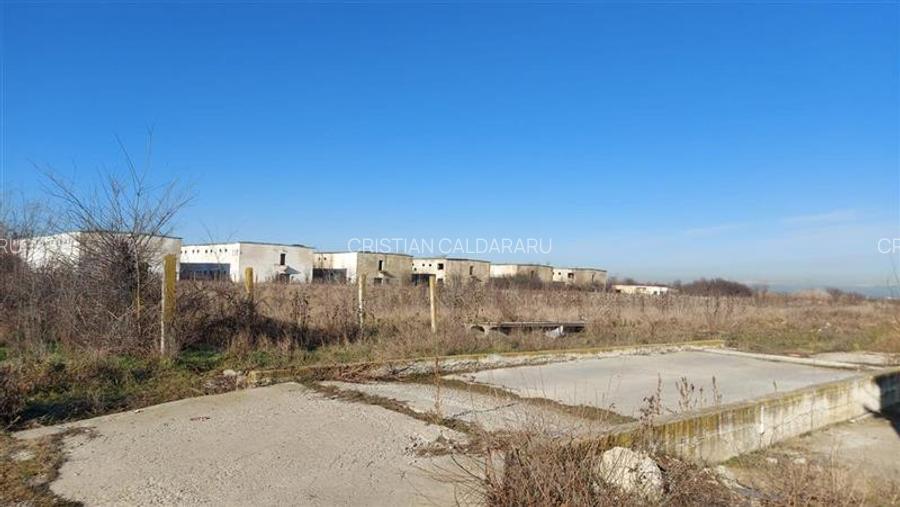 Vanzare depozit/hala/spatiu industrial Buftea -Crevedia - Butimanu - DN1A, Dambo - 6