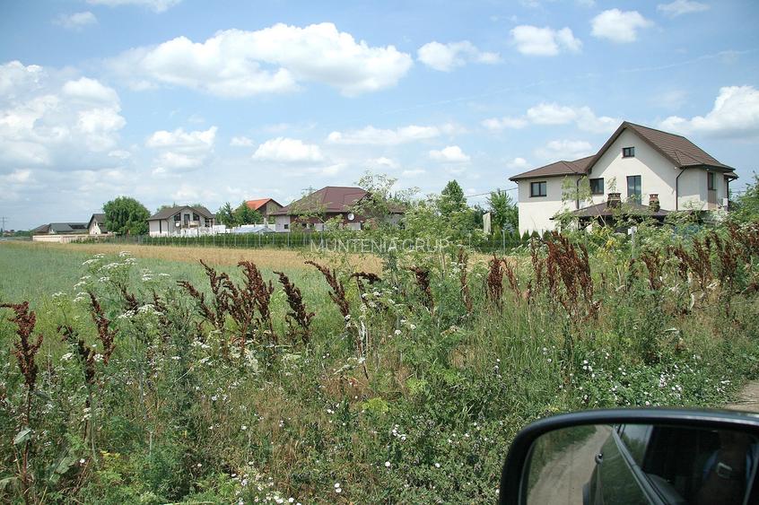 Ocazie ! Tartasesti - Str. Giurgiului, 20.000 mp. teren intravilan - 6