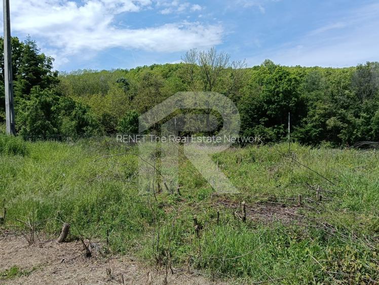 intravilan Tiparesti, relaxare aproape de padure - 8