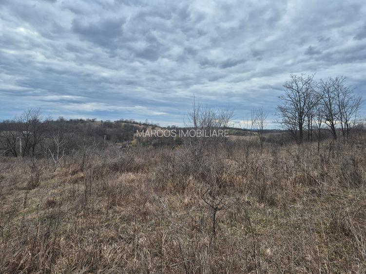 Vand 2 parcele de 5700 mp zona Iabalcea - 5