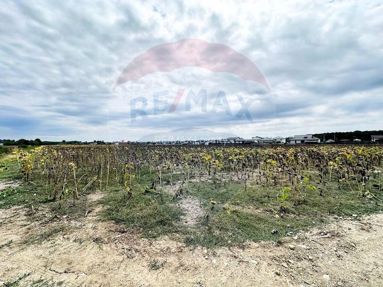 Teren 14.863mp, deschidere 42mp, acces 3 laturi - Ciorogarla, langa A0 - 3