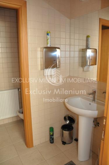 Spatiu Birouri Stirbei Voda - Berzei - 6