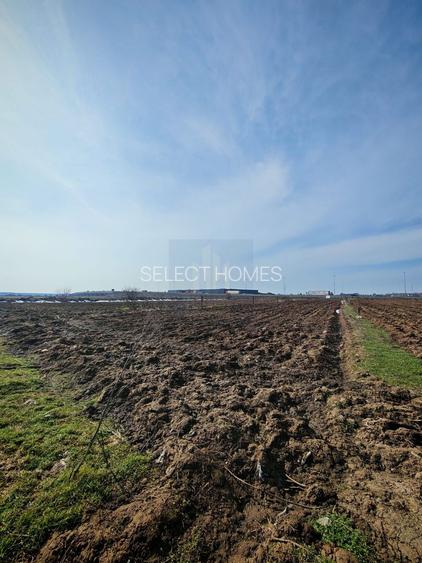 Teren de Vanzare Industrial Caciulati A3 - 4