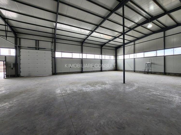 Pantelimon hala noua 500 mp - 13