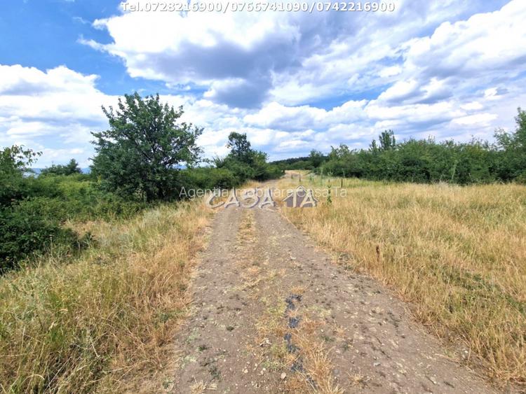 Teren Extravilan (11.464 mp),situat in Targu-Jiu, Str Ciresului - 3