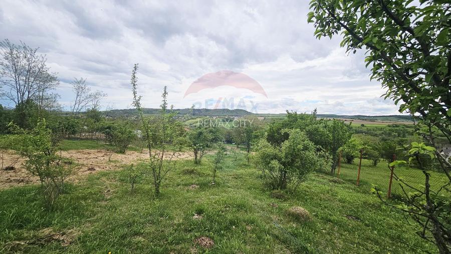 Teren 5,350mp Dobreni / Strada Manastirea Horaita - 16