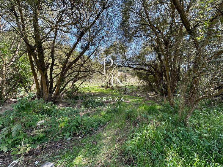 Teren, 6495 mp, Feleacu! Oportunitate exceptionala pentru constructii case! - 2