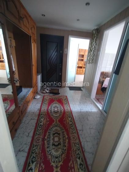 2decomandat -sensul giratoriu la delfini - 5