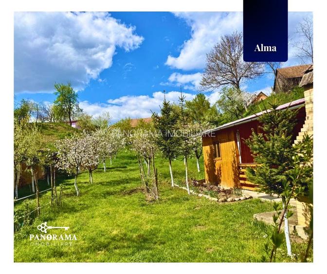 Teren Intravilan cu cabana  in satul transilvanean Alma - 8