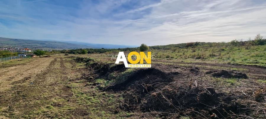 De vanzare teren intravilan 6400mp, parcelabil, zona schit - 2