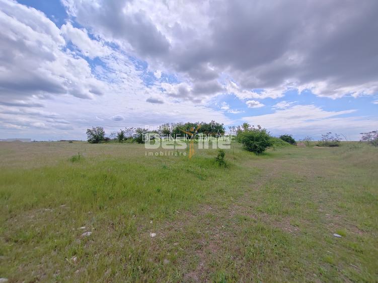Teren extravilan, 114000 mp, Parc industrial West Park - 6