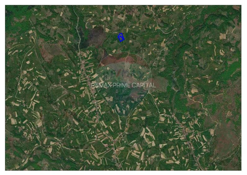 Oportunitate turistică în comuna Roșia 10.059 mp teren - 3