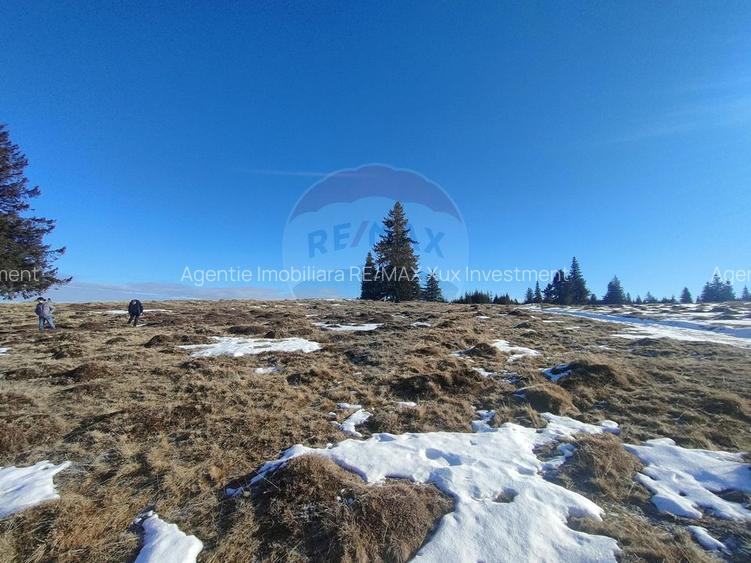 Teren  extravilan - 11