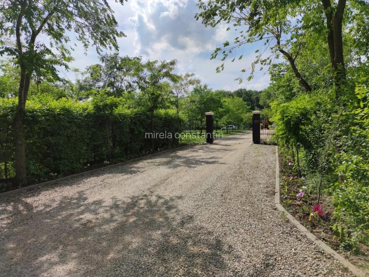 Loturi constructie intre 80-95 Euro/mp - Afumati, Strada Padurii - 11