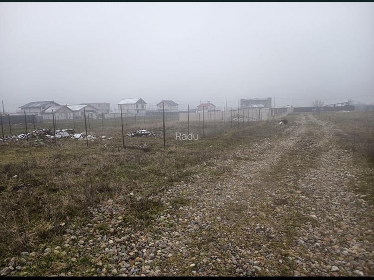 Teren intravilan Simian zona avicola - 2