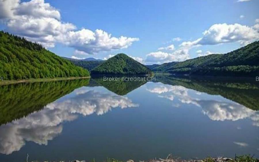 Teren intravilan si padure de brad 34.000 mp Varsag, Harghita - 9