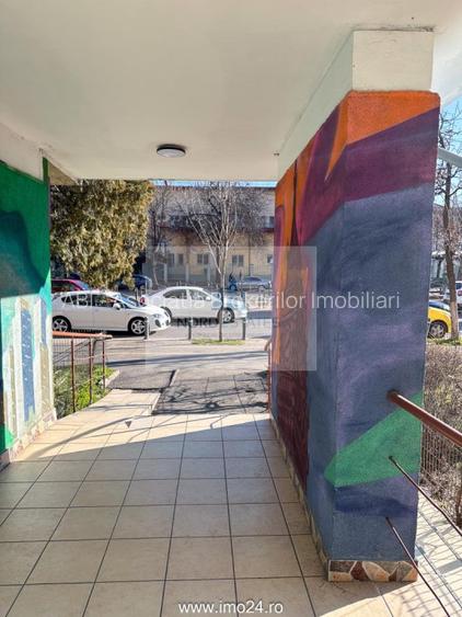 Apartament 2 Camere Piata Victoriei, Monza|Grigore Alexandrescu - 9