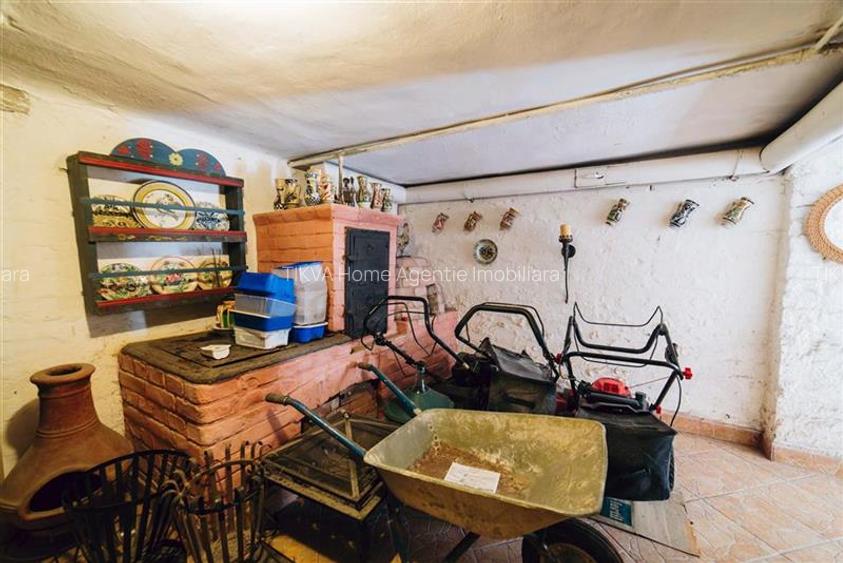 Vila in stil Art Nouveau (Targu Mures, str. Alexandru Papiu Ilarian) - 39