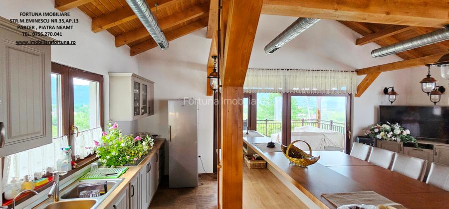 Complex turistic cu spatiu cazare,agrement,teren,livada,com.Alexandru cel Bun - 6