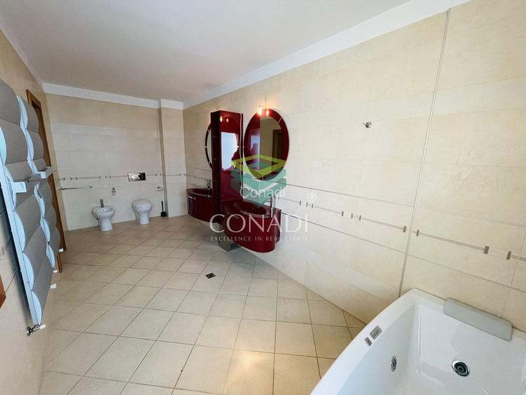 Iancu Nicolae, vila de inchiriat, 5 camere - 16