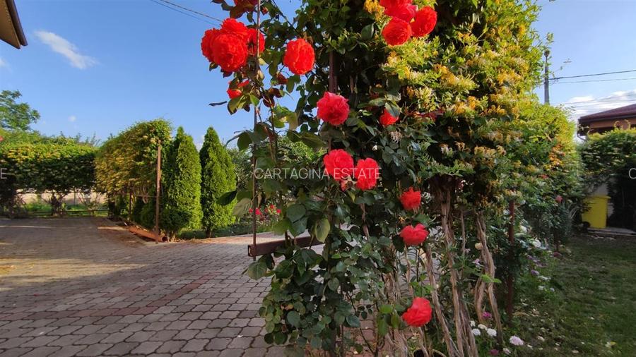 Vila individuala S+P+1+M - Matei Millo   810mp teren - 3