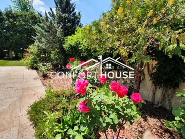 Vila individuala S+P+E+M, renovat , nou mobilat, padure - IANCU NICOLAE - 7