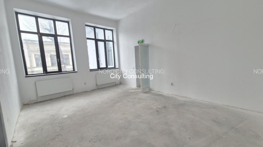 Inchiriere vila reprezentativa Cismigiu Sala Palatului - 6