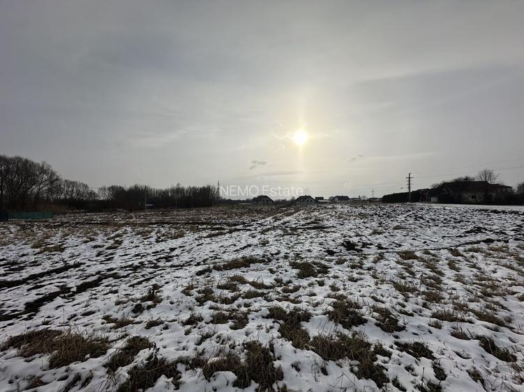 Teren intravilan | 61 ari | Parcelabil | Radauti - 8