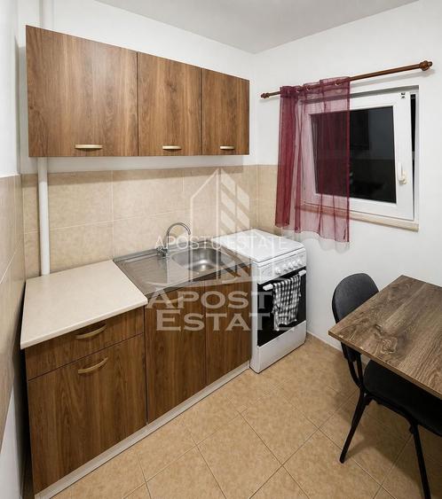 Apartament 1 camera zona Micalaca - 2