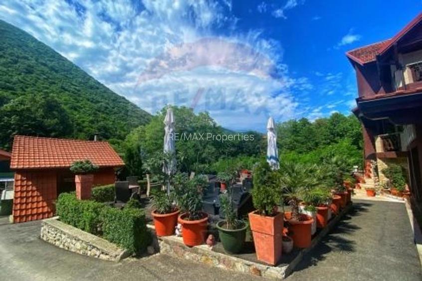 De vanzare / Pensiunea El Plazza Baile Herculane - 8