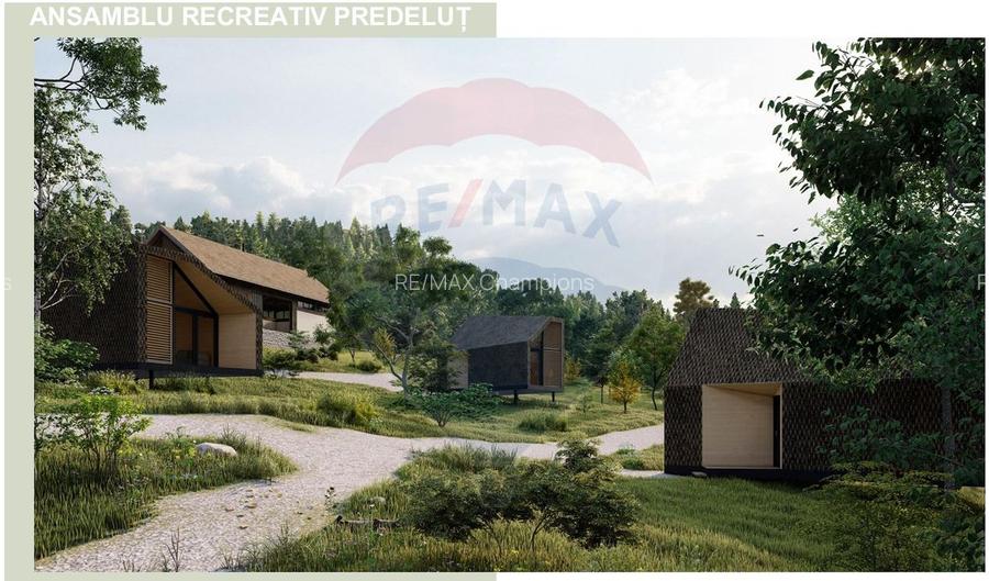 10.51 Euro + TVA / mp: Teren Bran Predelut, 24.253 mp, intravilan - 9