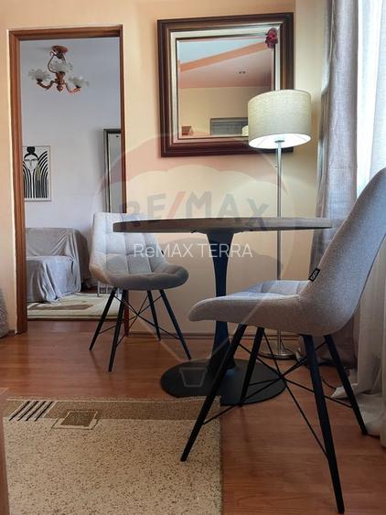 Apartament cu 2 camere de închiriat în zona Sasar - 13