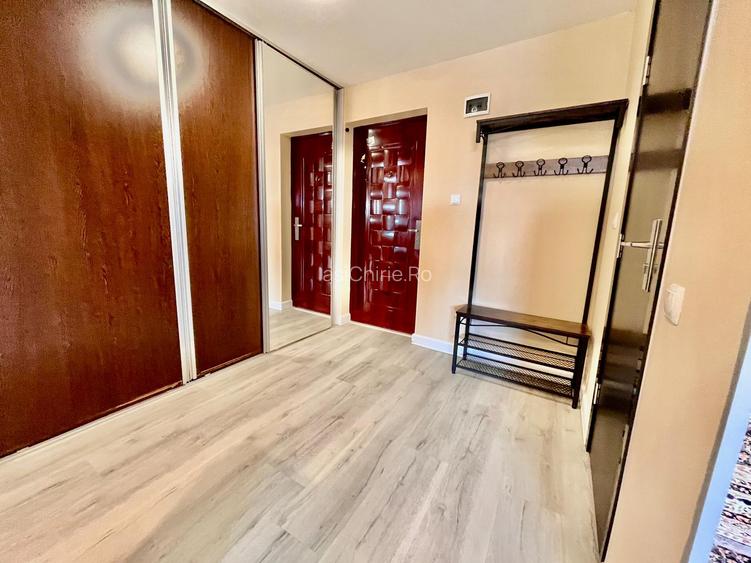 Apartament de inchiriat, o camera, Open space, 42 mp, Nicolina, (Rond Vechi) - 11