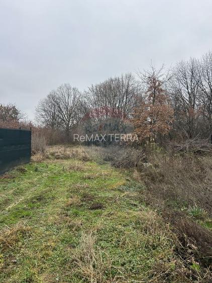 Teren 1,200mp si 400m2 cota drum Satu Nou de Jos / Strada Principala - 10