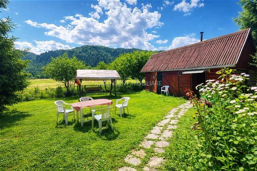 Tur 3D&FILM! Refugiu de vacanta, in pitorescul cadru: Lunca Bradului - 3