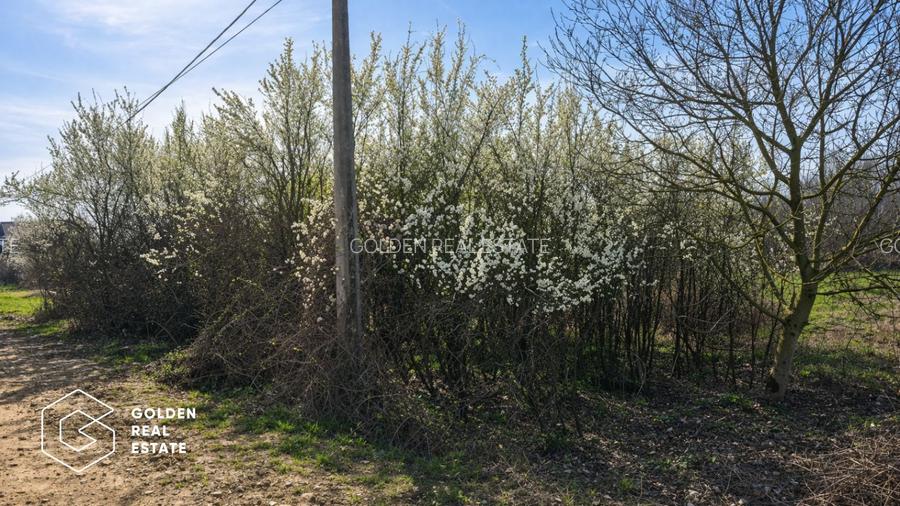 Teren intravilan, 1080 mp, Lipova - 3