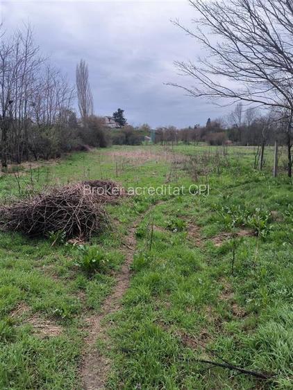 Ocazie!Teren Buturugeni,intre case,intrare din asfalt,,utilitati apriape - 3