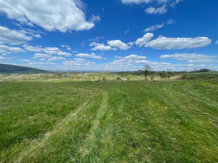 TEREN | BALNACA | 6301MP | BIHOR - 4