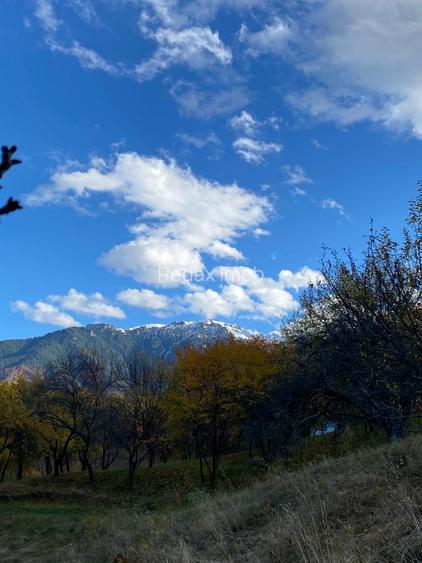 Teren intravilan Sohodol, priveliste catre Bucegi, Piatra Craiului,Magura Codlei - 4