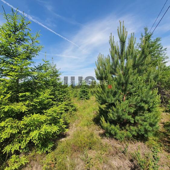 Când oboseala nu mai trece cu un city break, ai nevoie de un teren la munte - 4