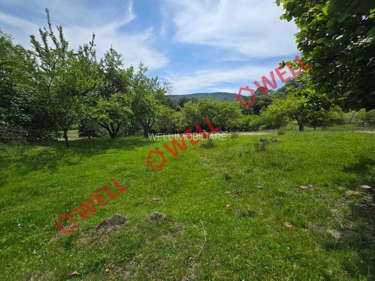 De vânzare teren intravilan în localitatea Scrădoasă! - 4
