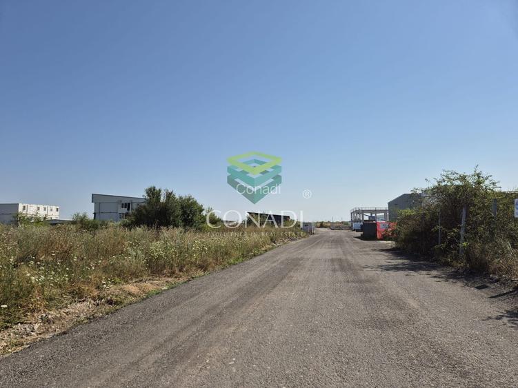 Teren de vanzare cu autorizatie pentru 2 hale - Otopeni - 10.000 mp - 12